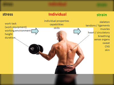 Belastung und Beanspruchung