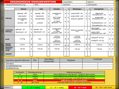 Ergonomic Risk Assessment (ERA): Analyse der Belastung einzelner Körperteile