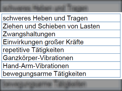 Inhalte dieses GDA-Arbeitsprogramms