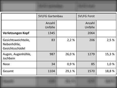 Unfallstatistik Kopfverletzungen