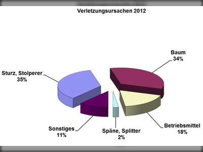 Statistik über Verletzungsursachen