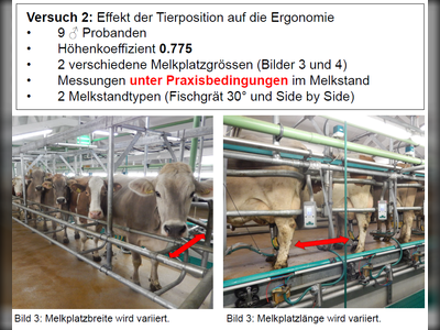 Ziel der Forschung